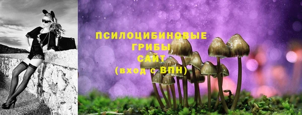 PSILOCYBIN Богородск